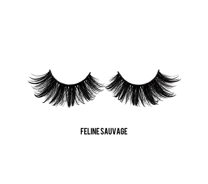 🐈⬛Féline Sauvage