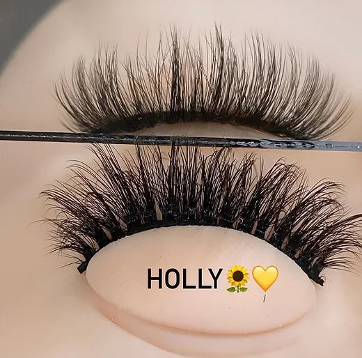 Holly