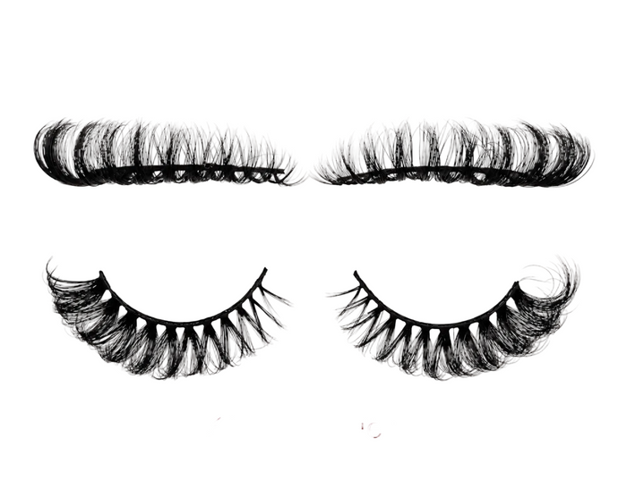⚡ Regard Félin