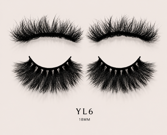 YL6