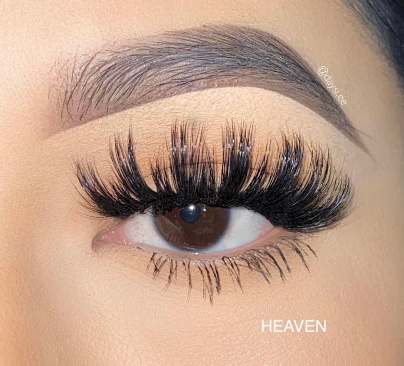 Lash Essentials