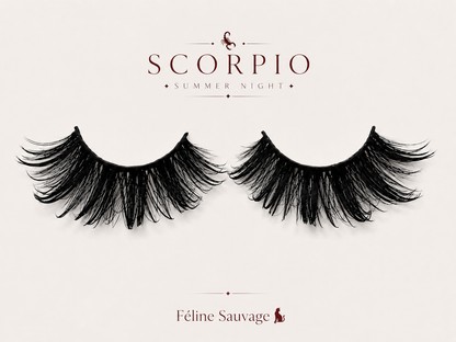 🐈‍⬛Féline Sauvage — 18mm Bold Full Lashes
