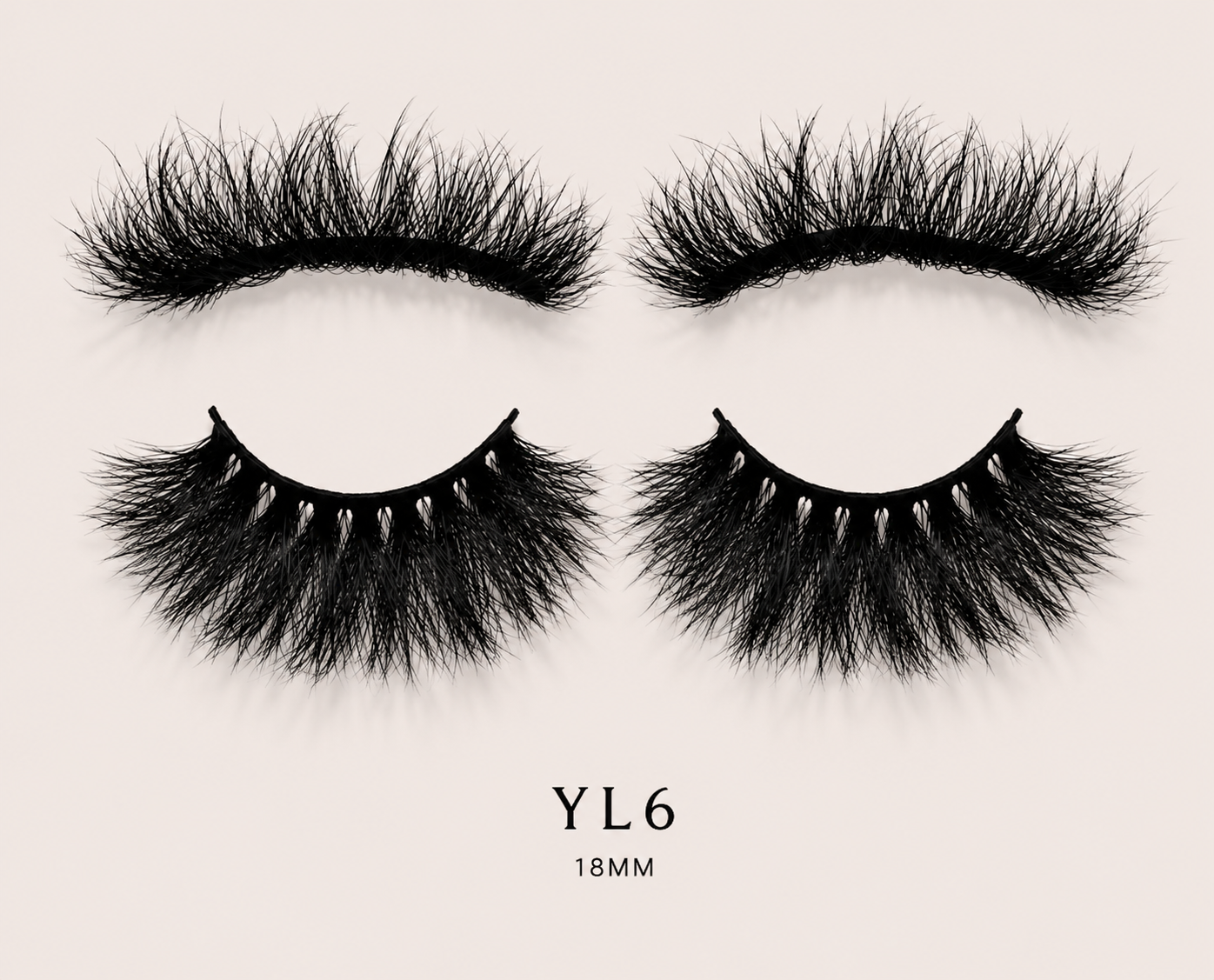 YL6