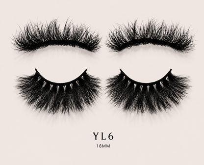 YL6