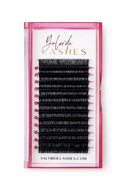 Lash Extension Tray