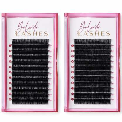 Lash Extension Tray